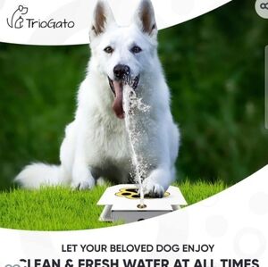 Dog Outdoor Fountain Step On- Paw Activated Drinking Pet Dispenser NEW
